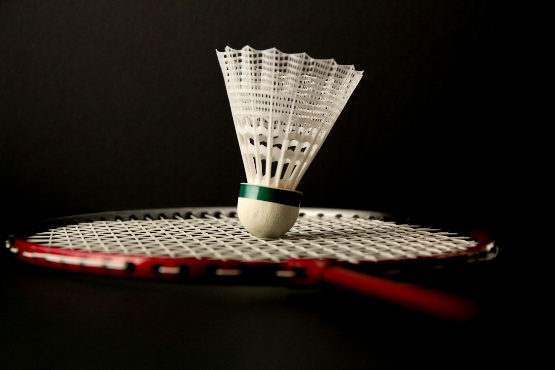 A badminton shuttlecock on a racquet.