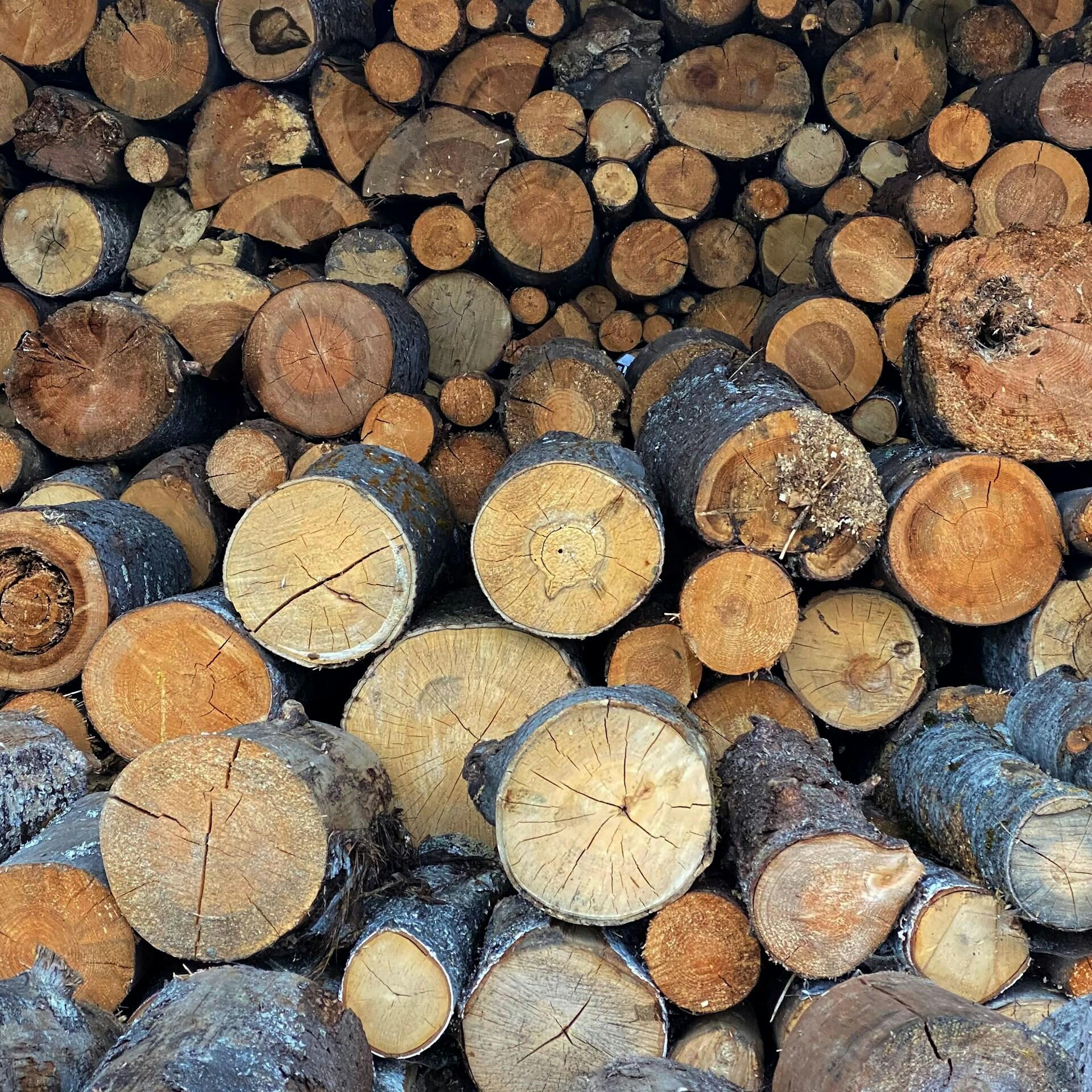 A stack of cut wood logs.