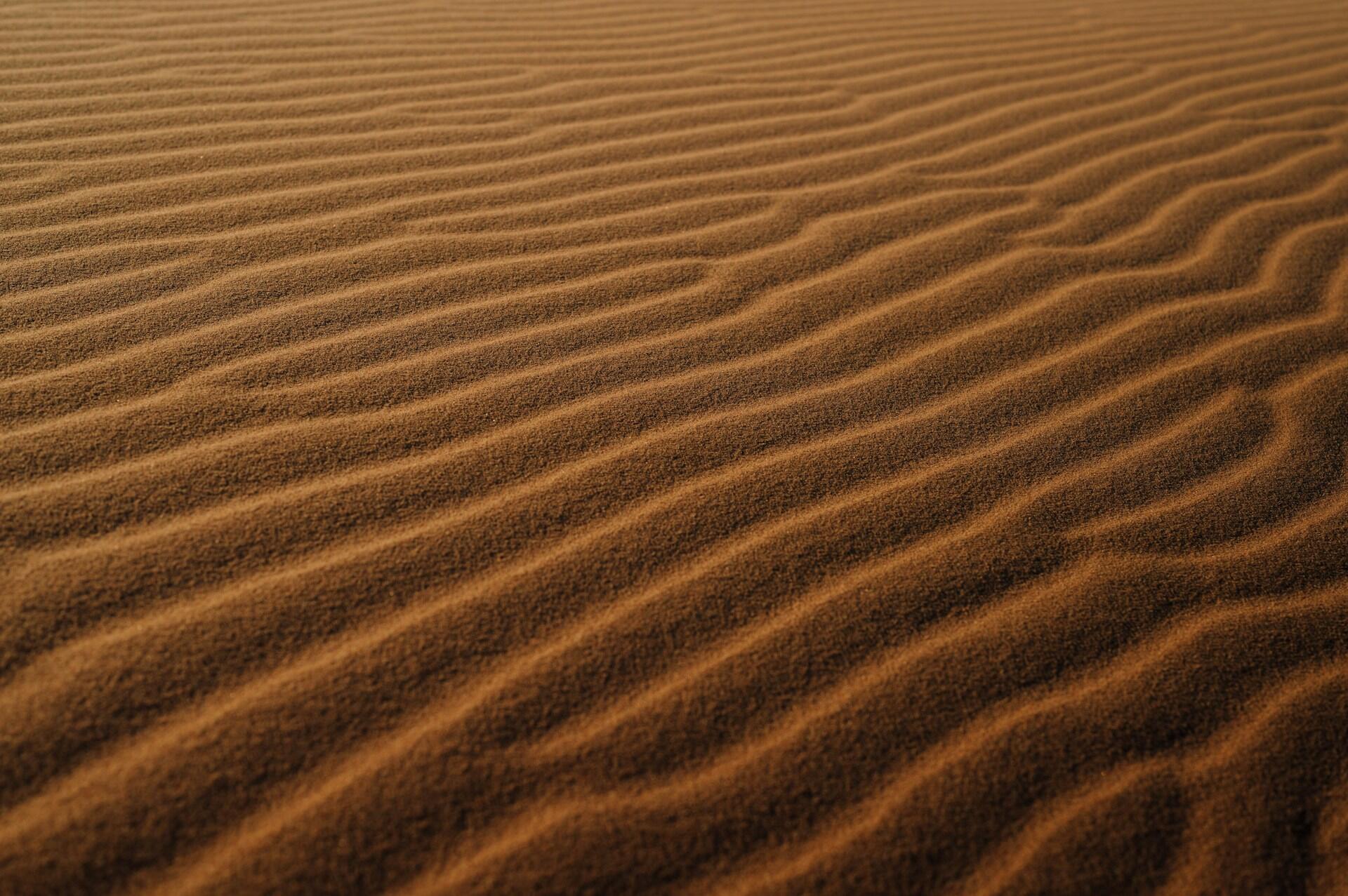 Rippling patterns of golden-brown sand create a serene, textured landscape, capturing the essence of a desert environment.