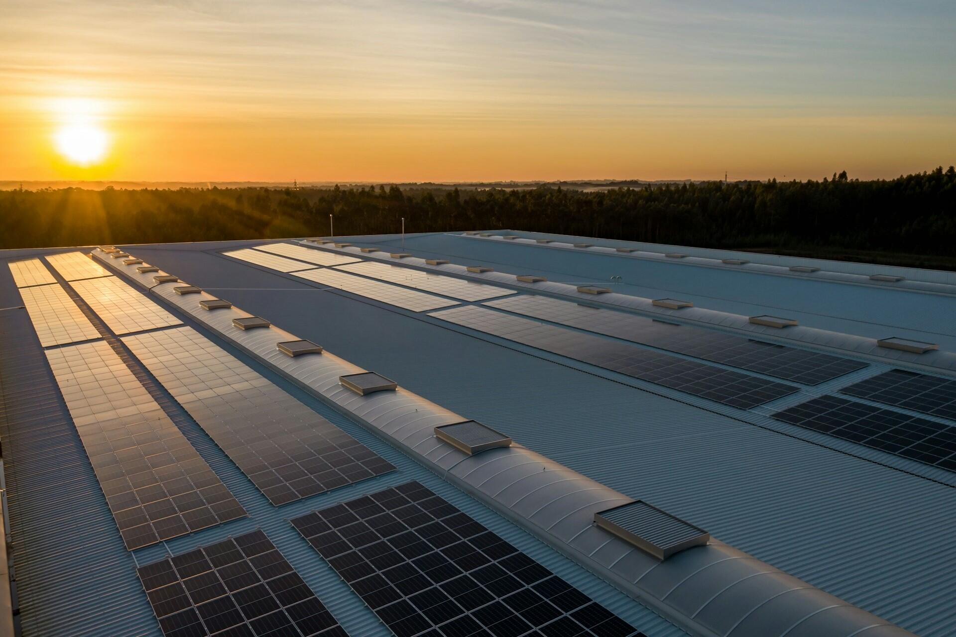 Solar panels at sunset.