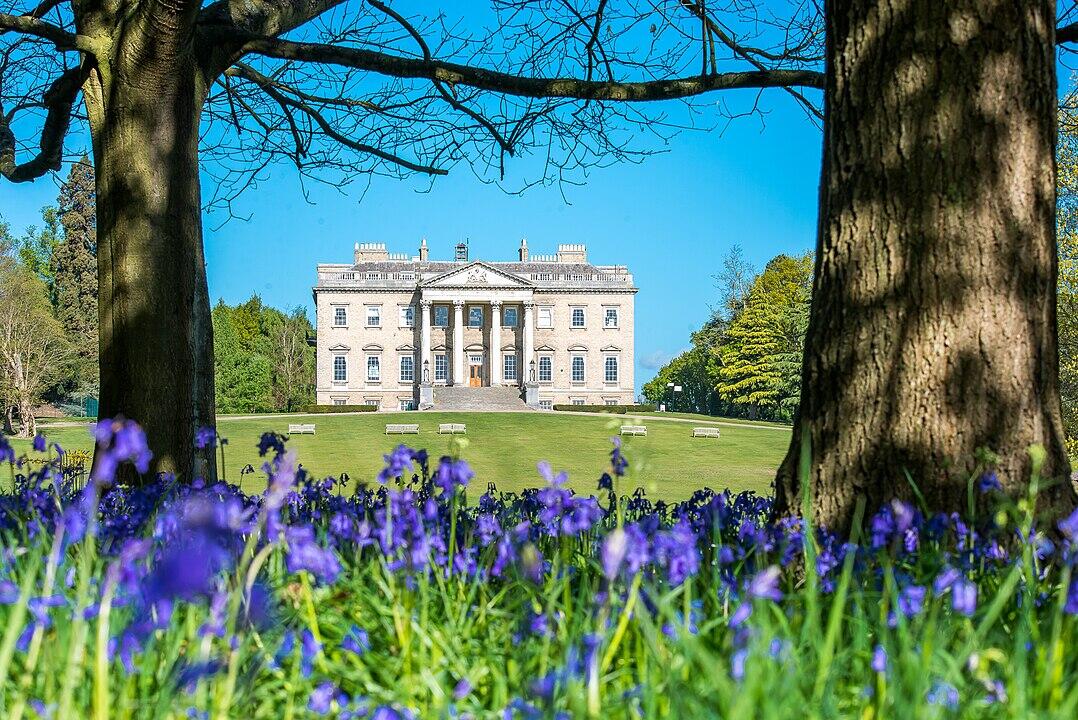 A stately mansion with columns stands behind a field of vibrant bluebells, framed by tree trunks and a clear blue sky.