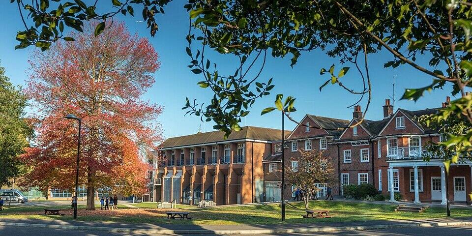 A vibrant autumn scene featuring a large red tree beside a brick building, with people gathering on a sunny day.