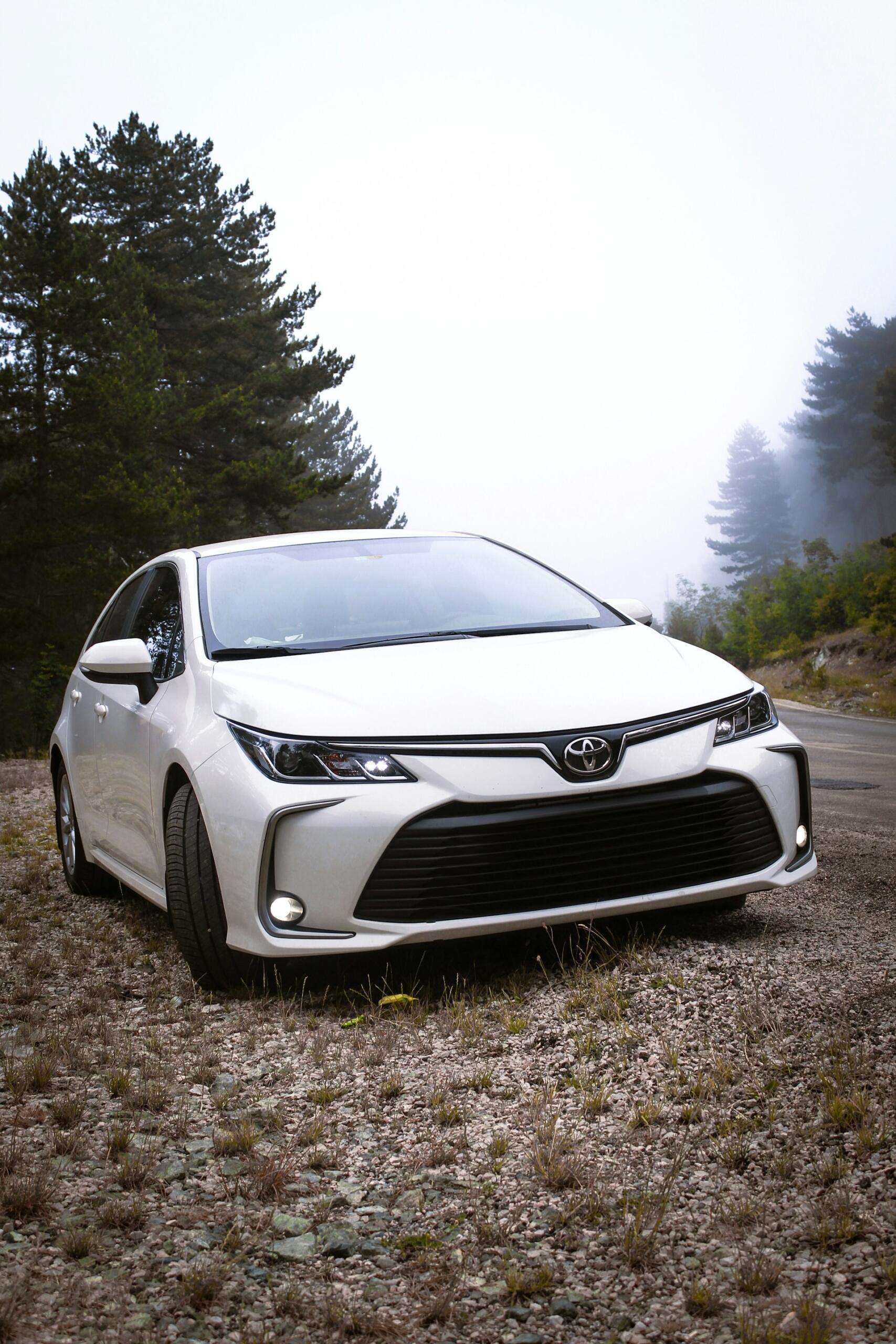 Corolla parked outside