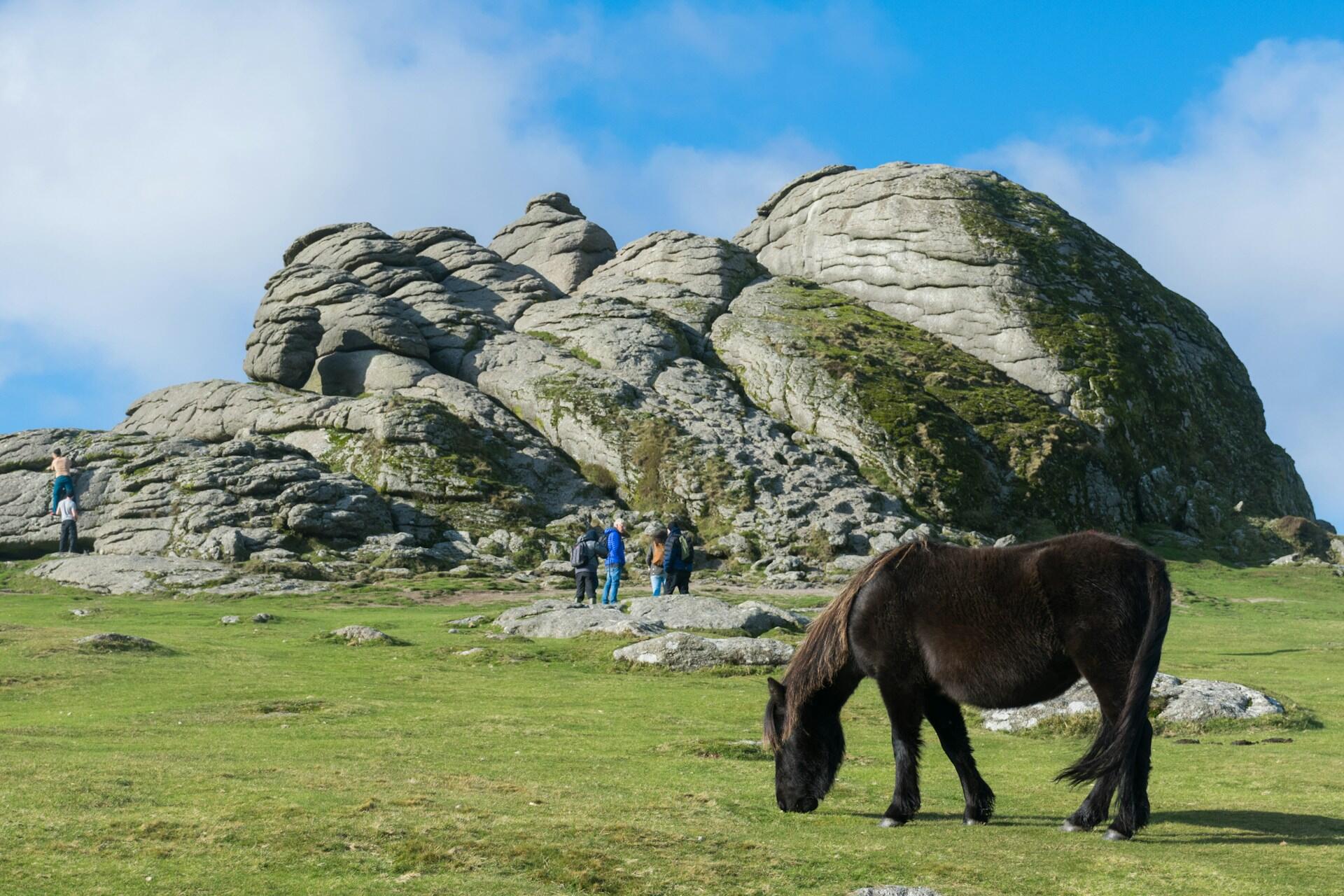A black pony grazes in a grassy area near rocky formations, while hikers explore the landscape under a partly cloudy sky.