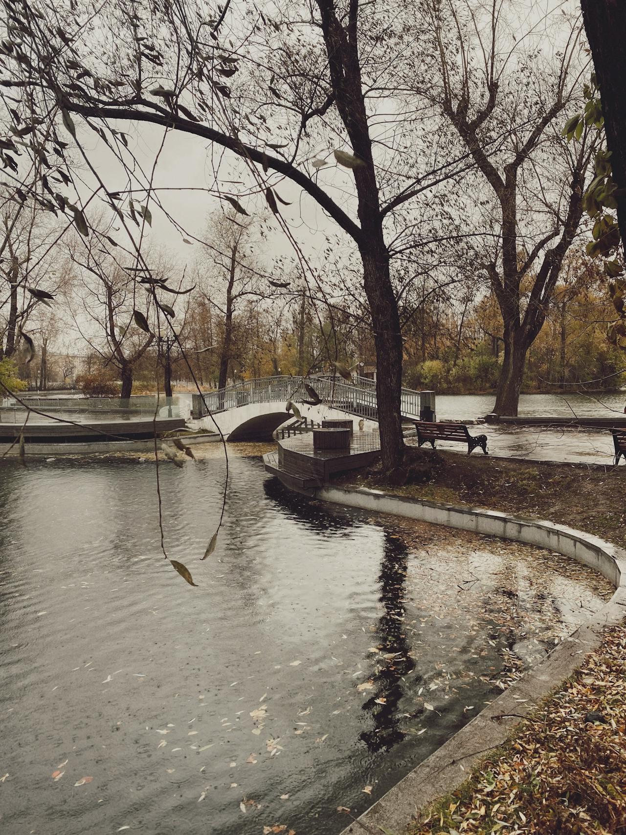A serene park scene on a rainy day, featuring bare trees, a winding path by the water, and a small bridge in the distance.