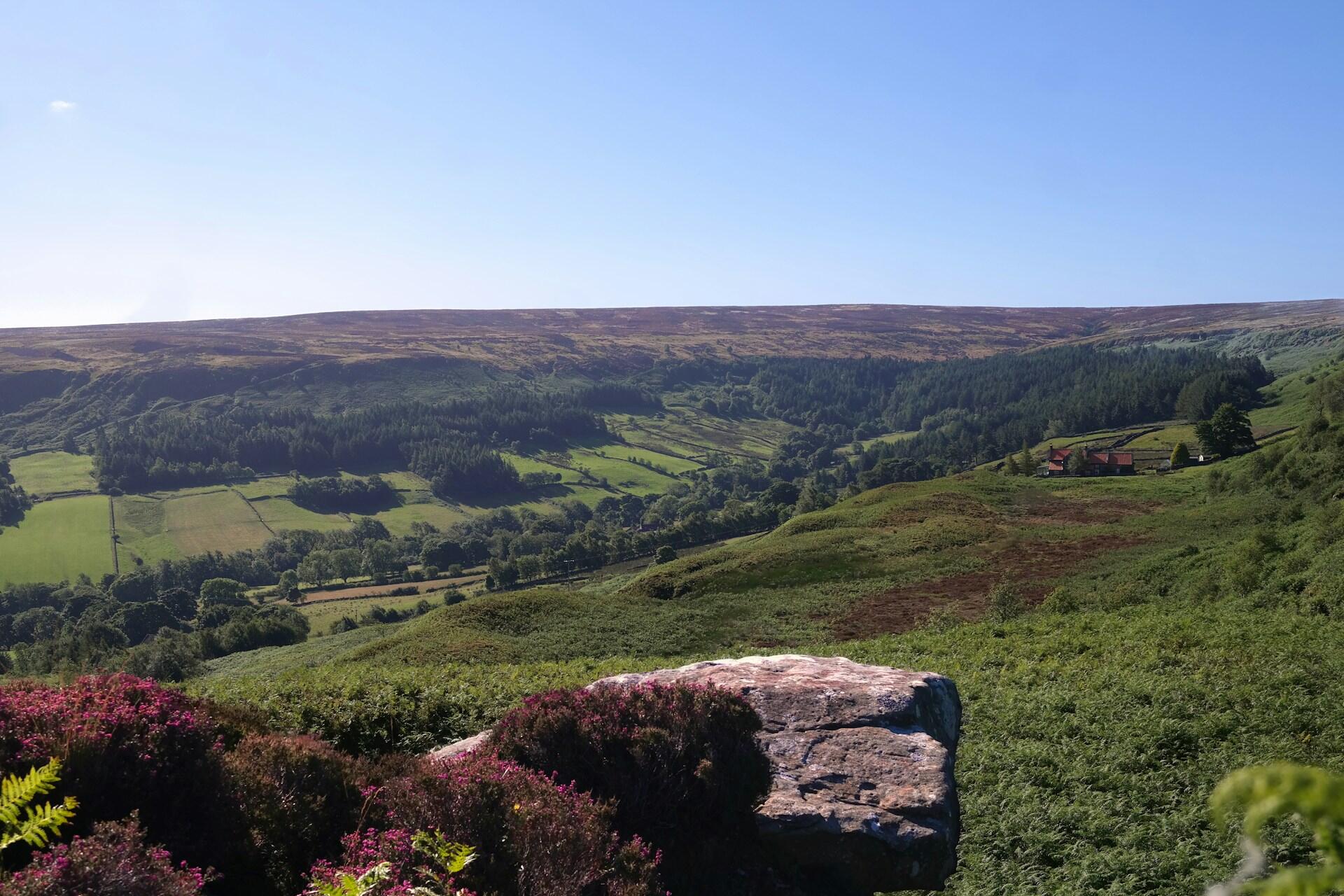 A panoramic view of green hills, valleys, and a distant farmhouse under a clear blue sky, with wildflowers in the foreground.