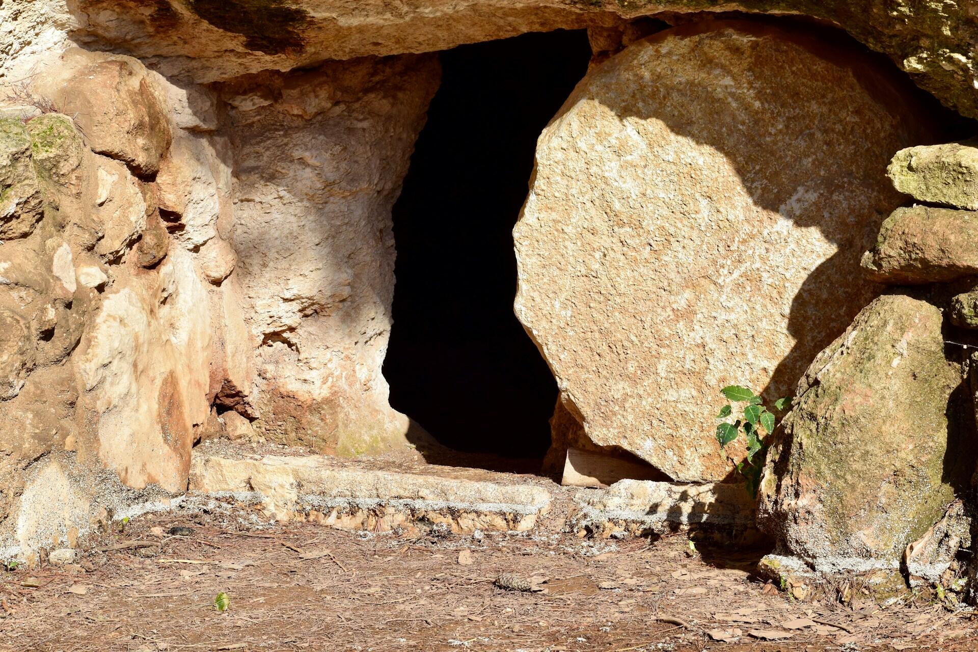 Entrance to a stone cave, partially obscured by a large rock, surrounded by earthy textures and a small green plant.