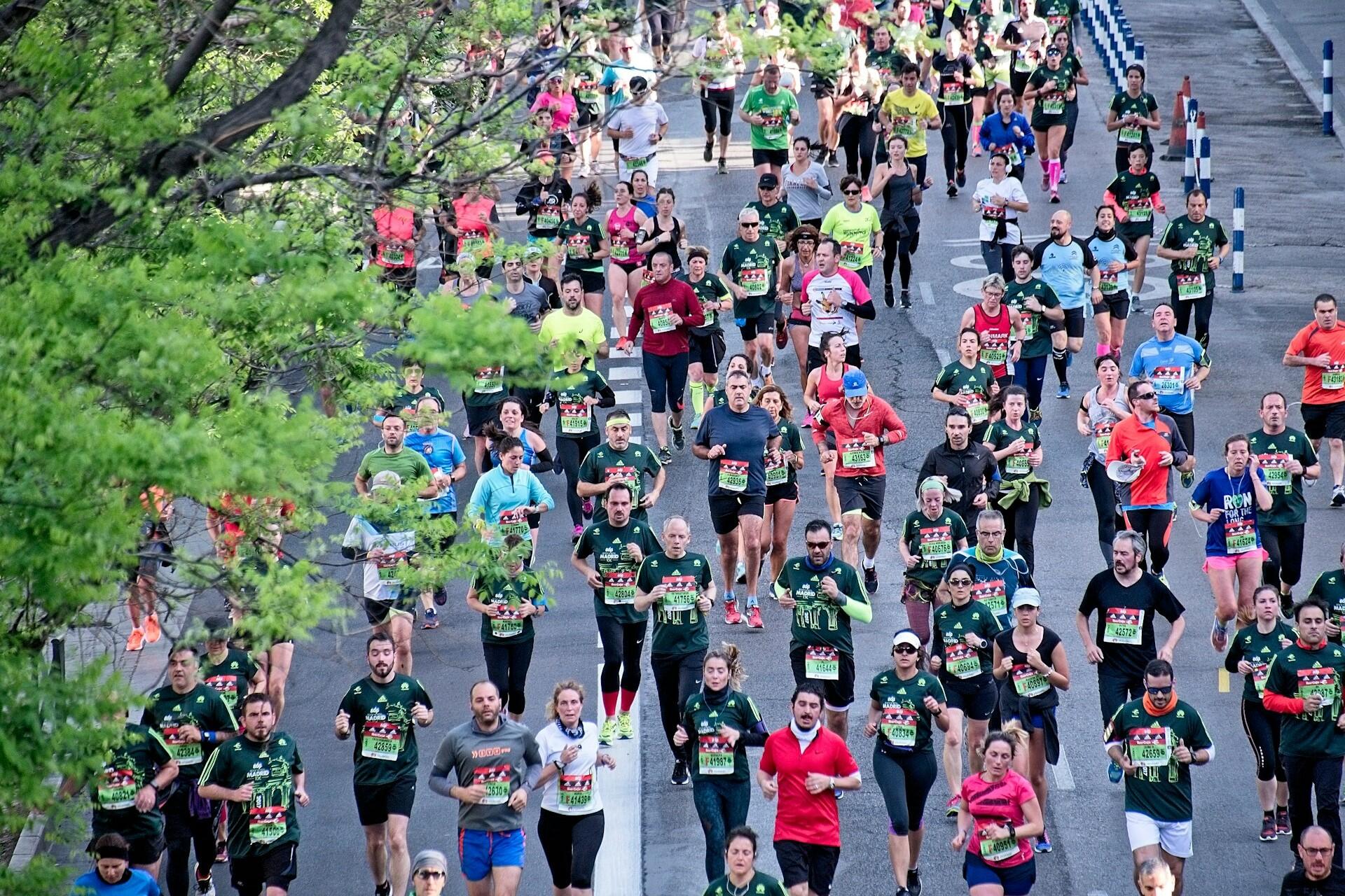 Large group of runners participating in a road marathon race along a tree lined city street.