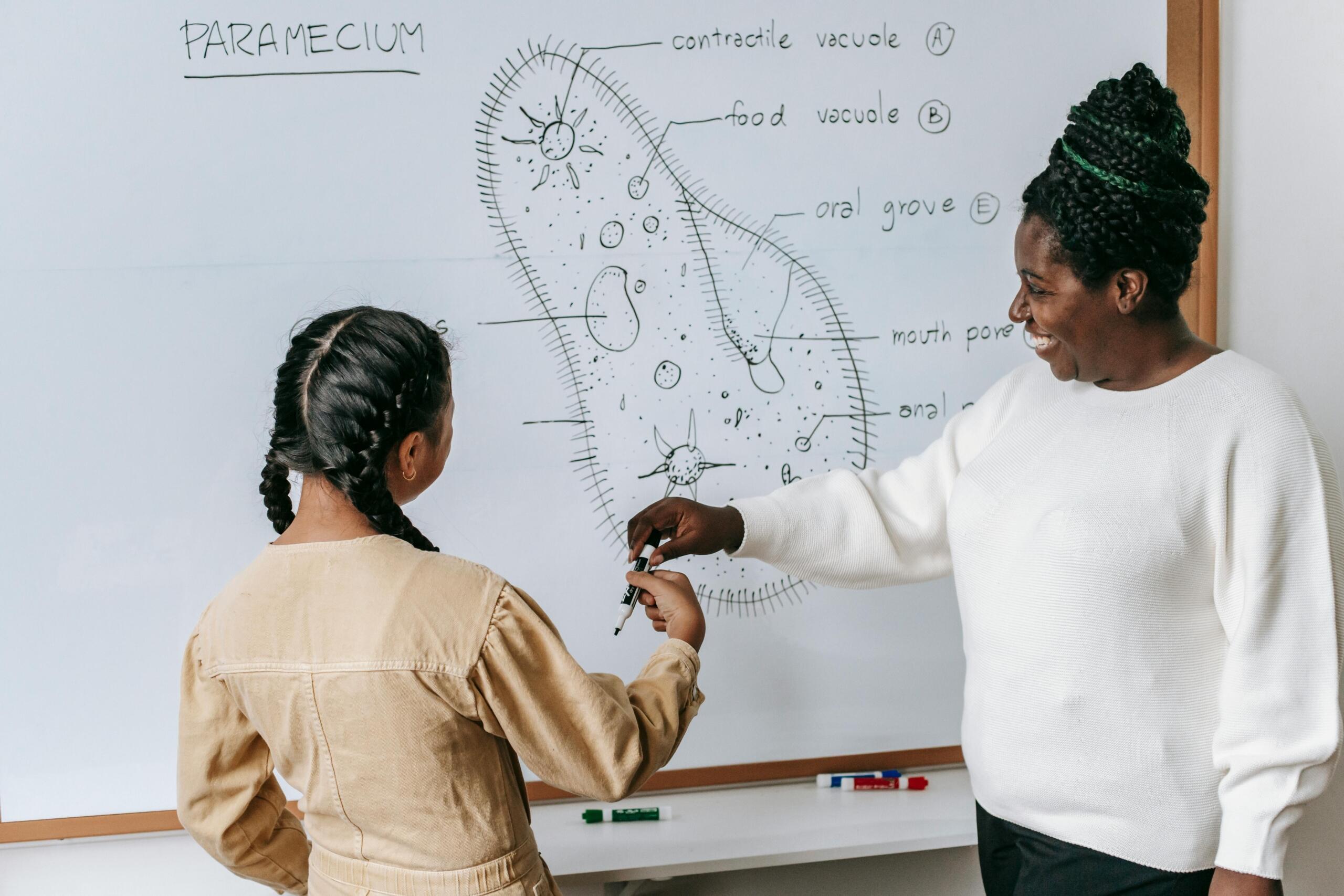 Teacher showing girl an image on a whiteboard
