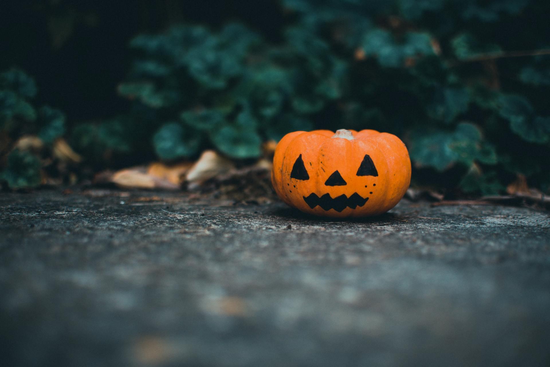 A small, carved pumpkin with a spooky face sits on a stone surface, surrounded by green foliage and fallen leaves.