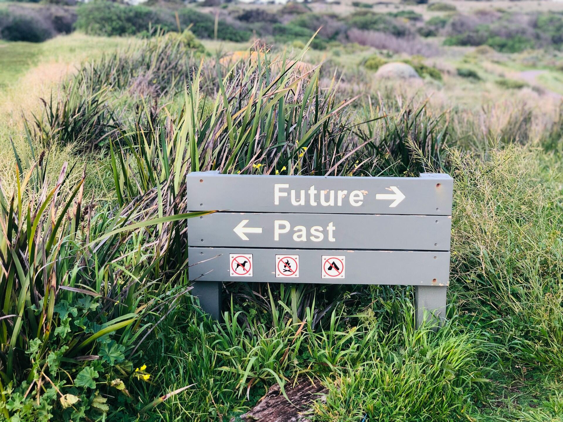 A low wooden sign with 'future' on it posted in a meadow.