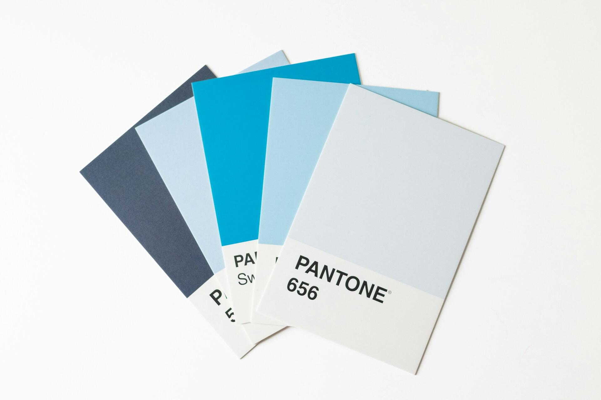 Blue and neutral Pantone colour cards used for brand identity design