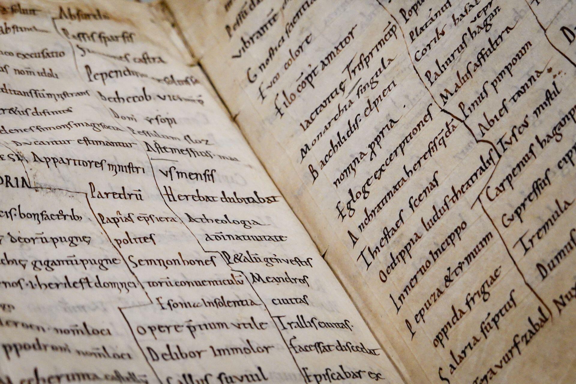 latin writing in a book
