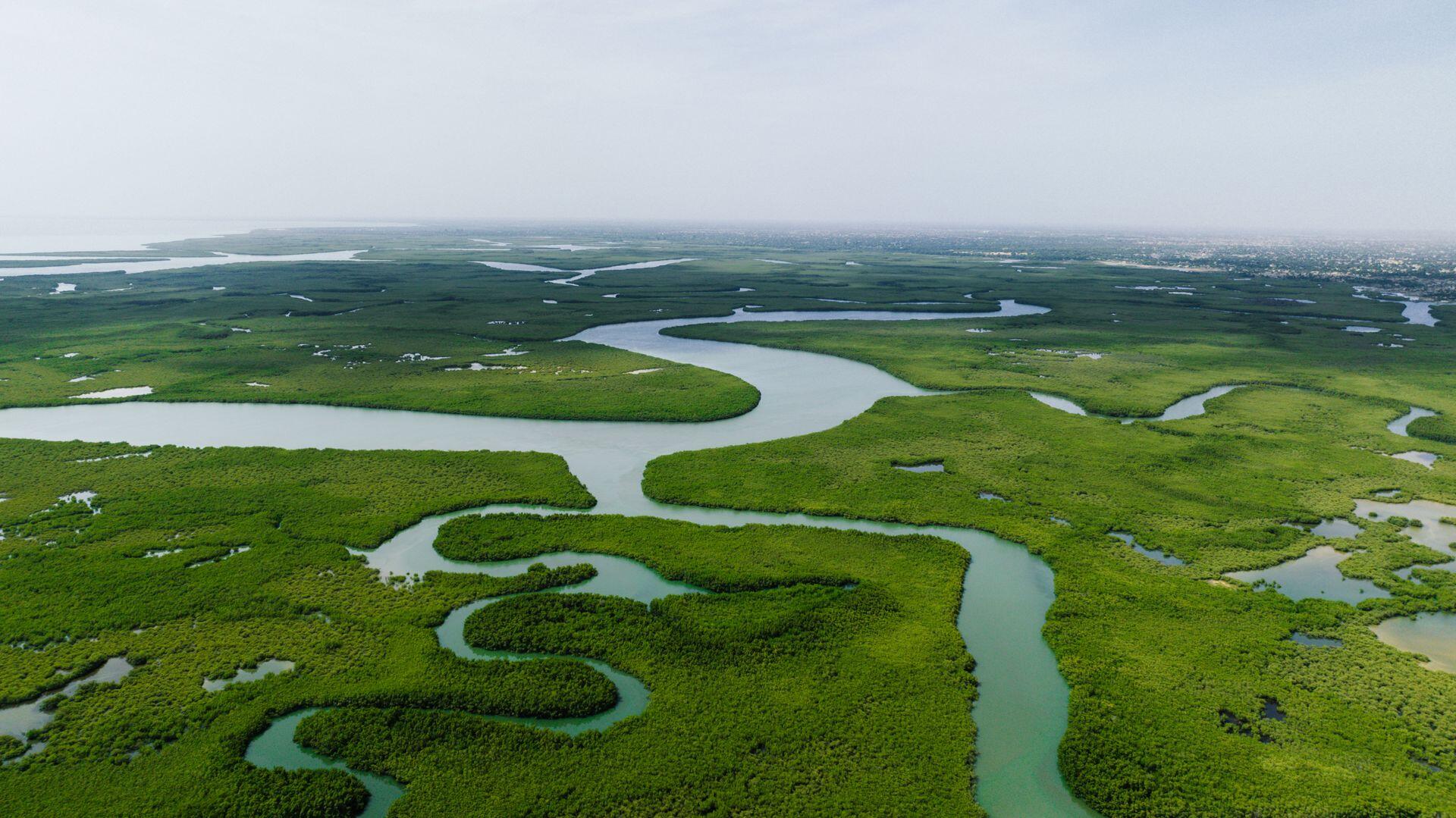 Aerial view of a winding river flowing through dense green mangrove forests under a hazy sky.