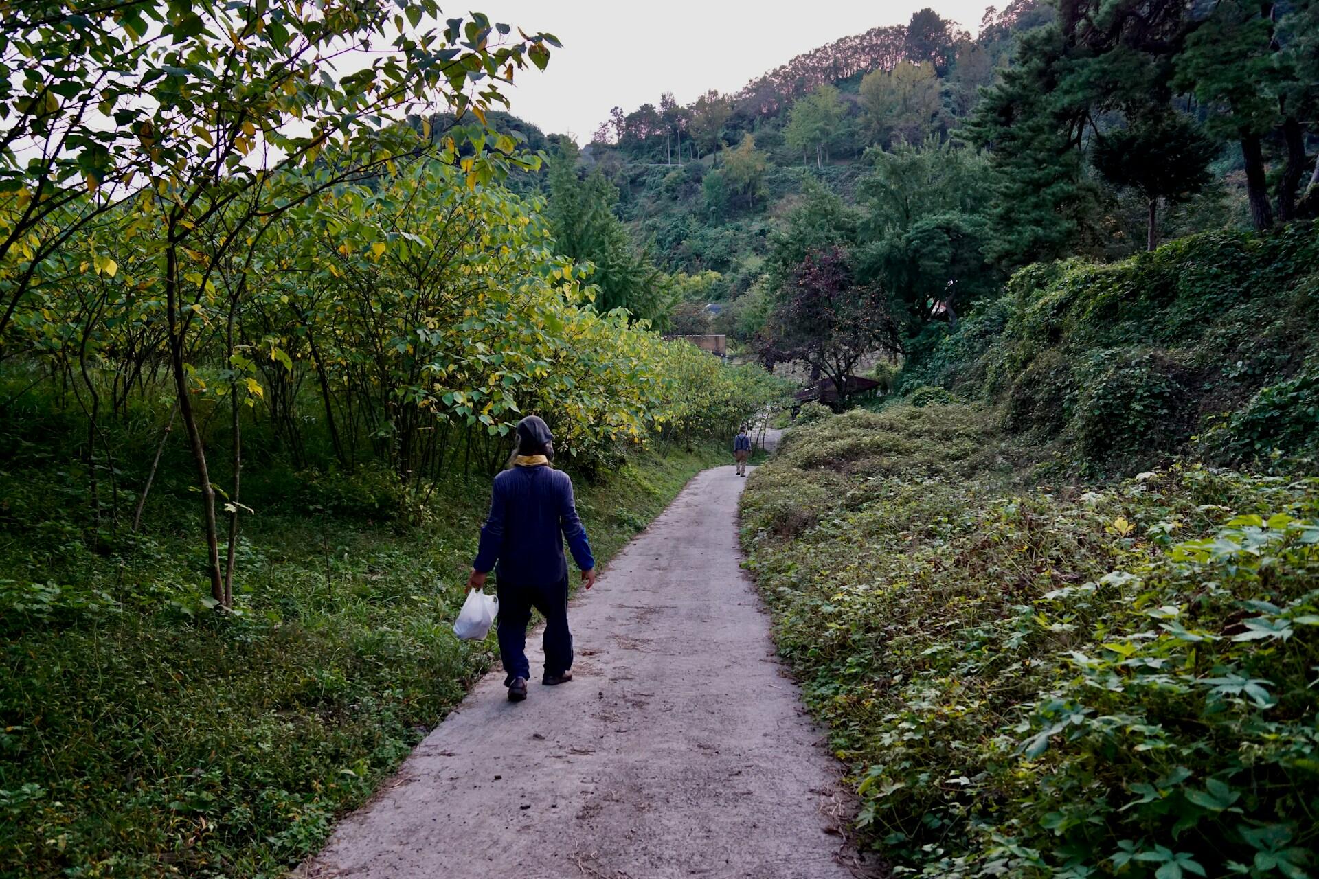 A person wearing a blue tunic outfit holds a white bag while walking down a rural road.