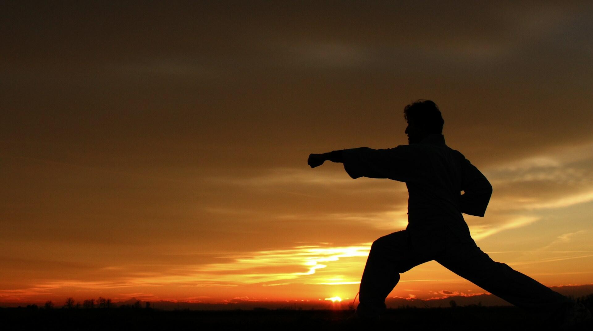 Silhouette of a person practicing Chinese martial arts with a punch stance.