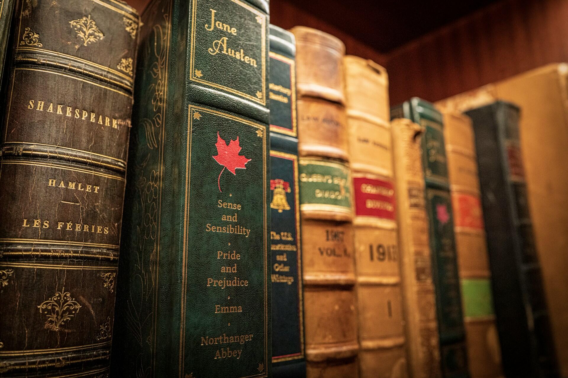 Leather-bound books line a wooden shelf, including volumes labeled Shakespeare, Hamlet, Jane Austen, Sense and Sensibility, Pride and Prejudice, and Emma.