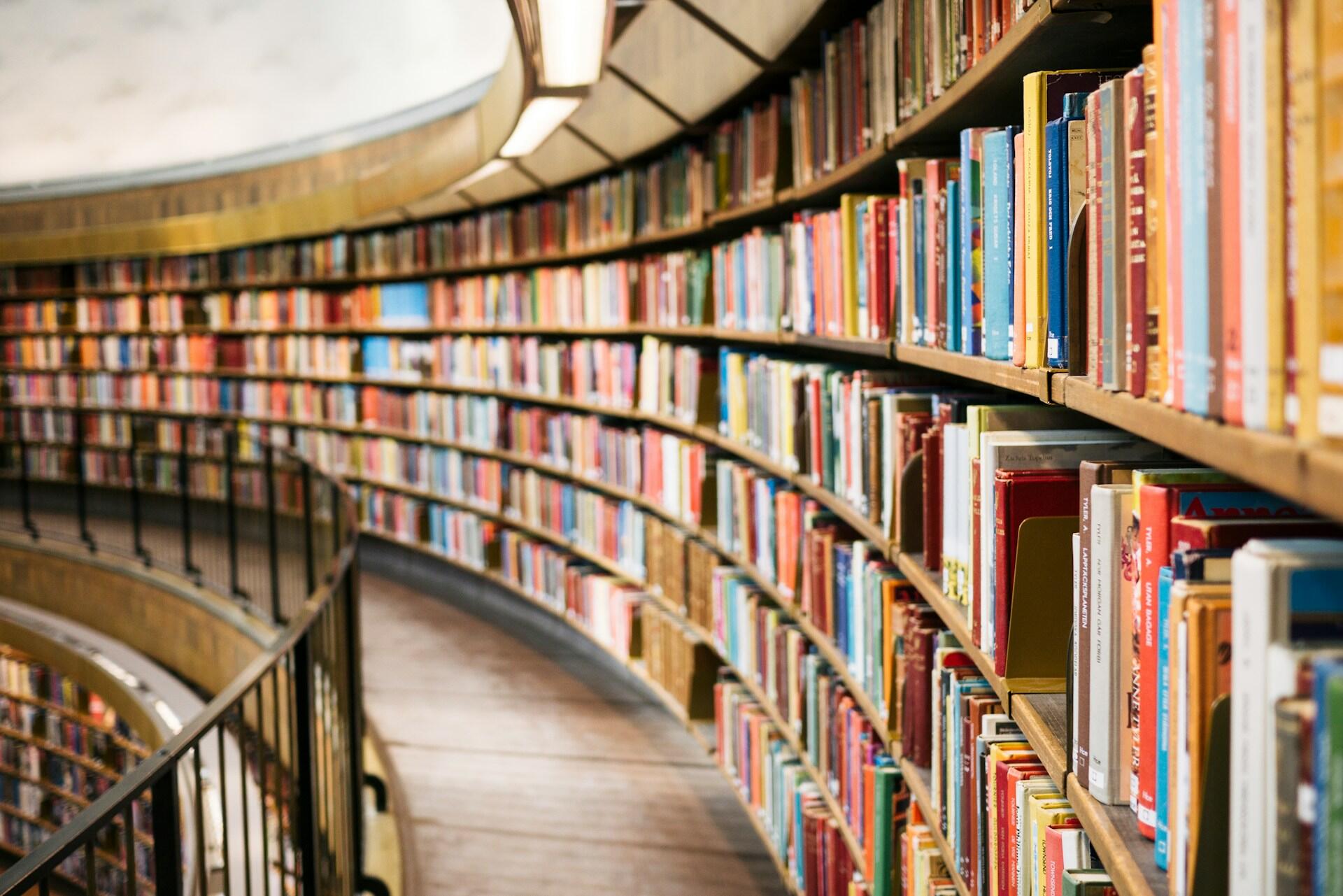shelves in a library filled with books