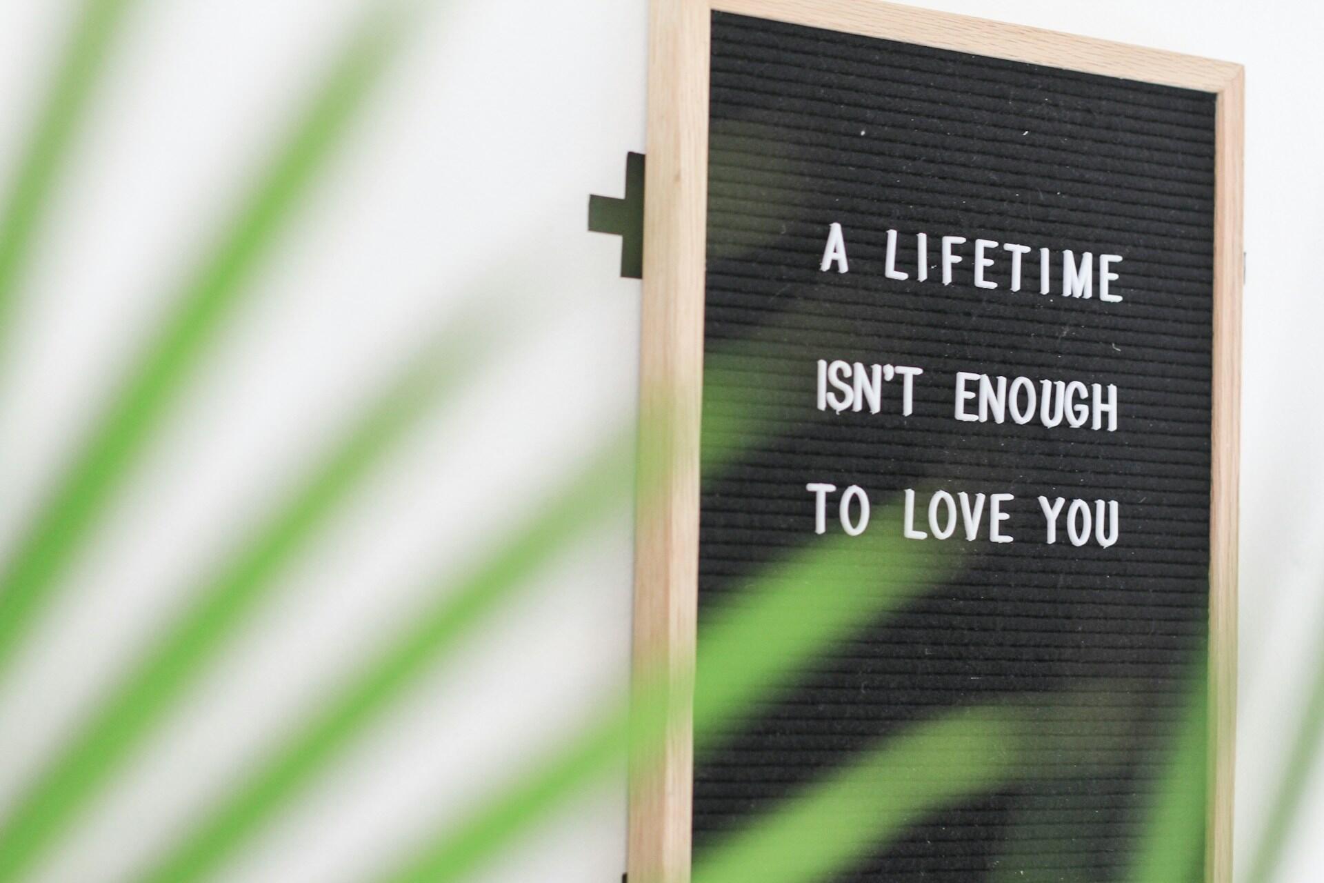 A poignant declaration emphasizing that a lifetime is too short to fully express one's love.