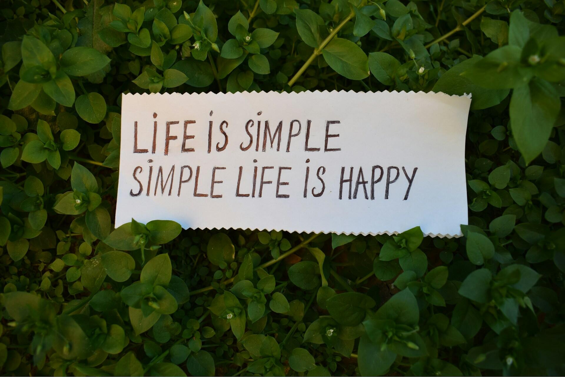 A long ribbon of white paper laying on green plants, with a wise saying written on it.