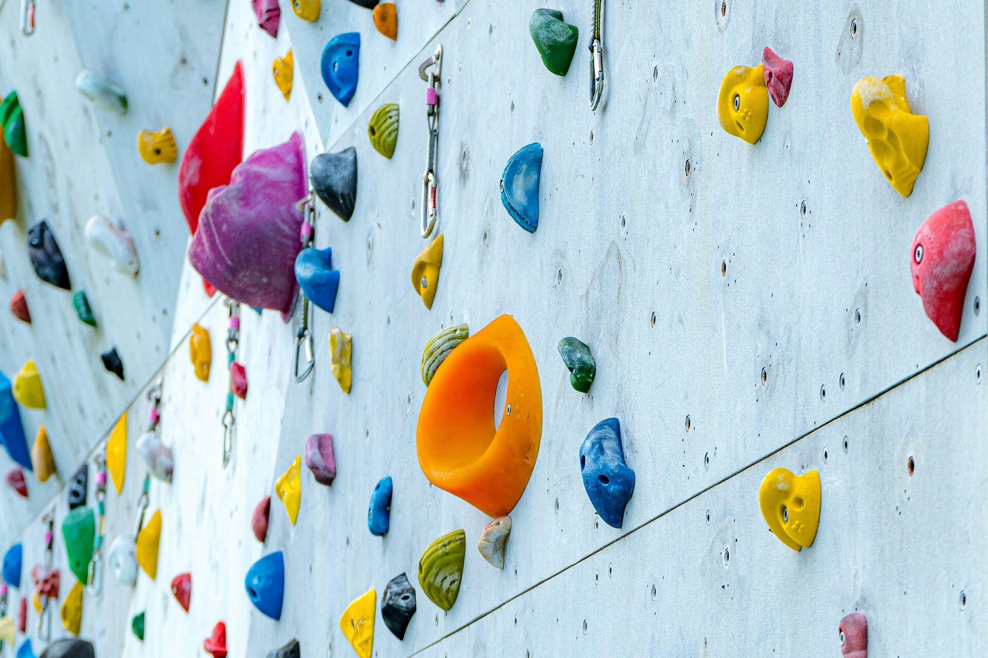 Colourful climbing holds on an indoor climbing wall