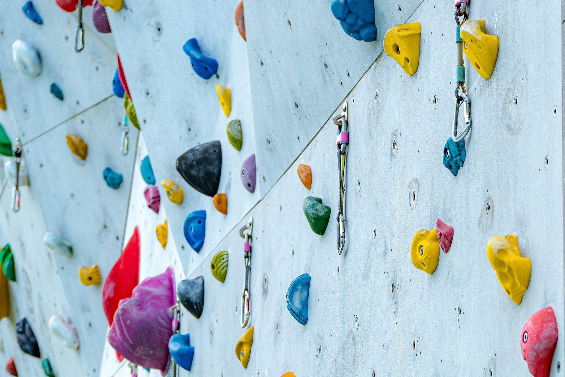 Colourful indoor climbing wall with holds and quickdraws