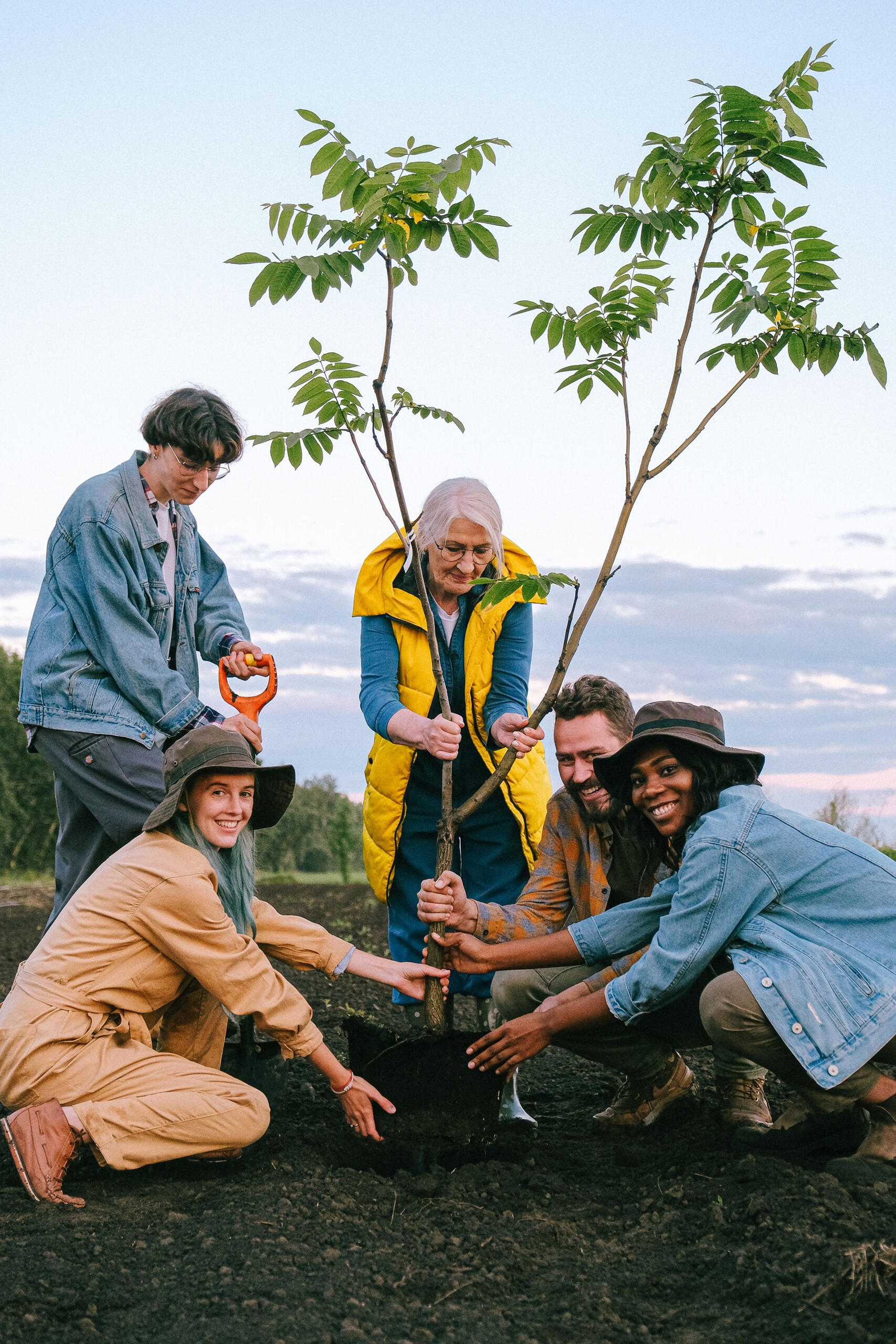 Five people gather around a young tree in a freshly dug hole, holding its trunk and branches as they plant it outdoors.