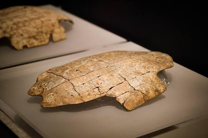 Οστό μαντείας (καύκαλο χελώνας) με χαραγμένα ρωγμές και σύμβολα, χρησιμοποιούμενο στην αρχαία κινεζική μαντική πρακτική.