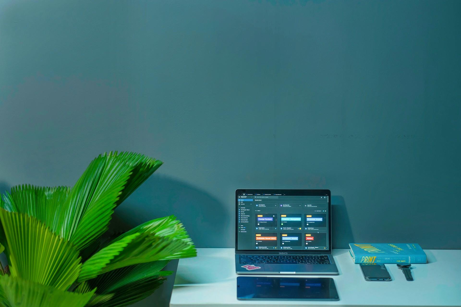 laptop növény mellett