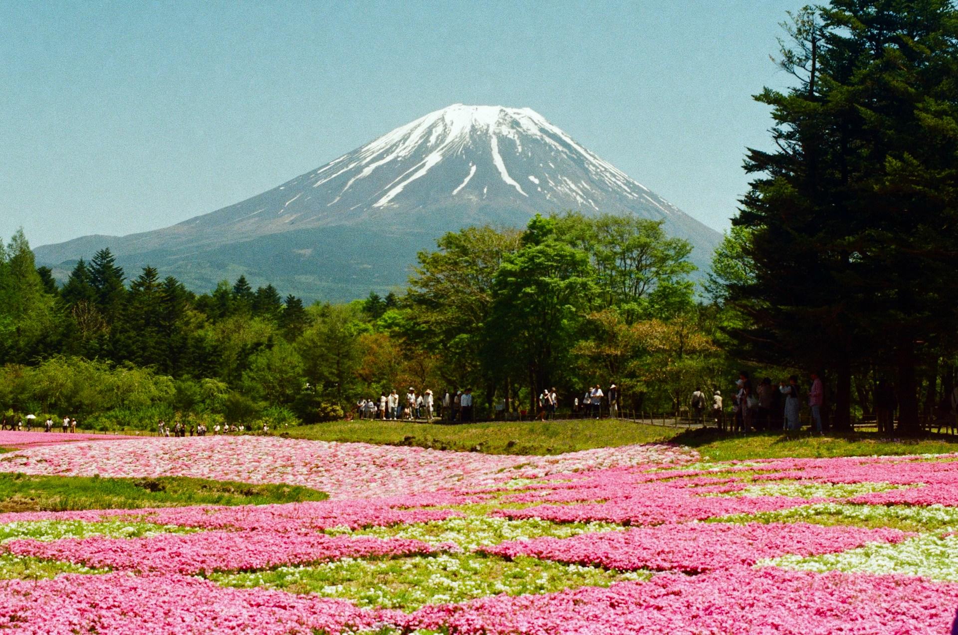 miért utazz Japánba