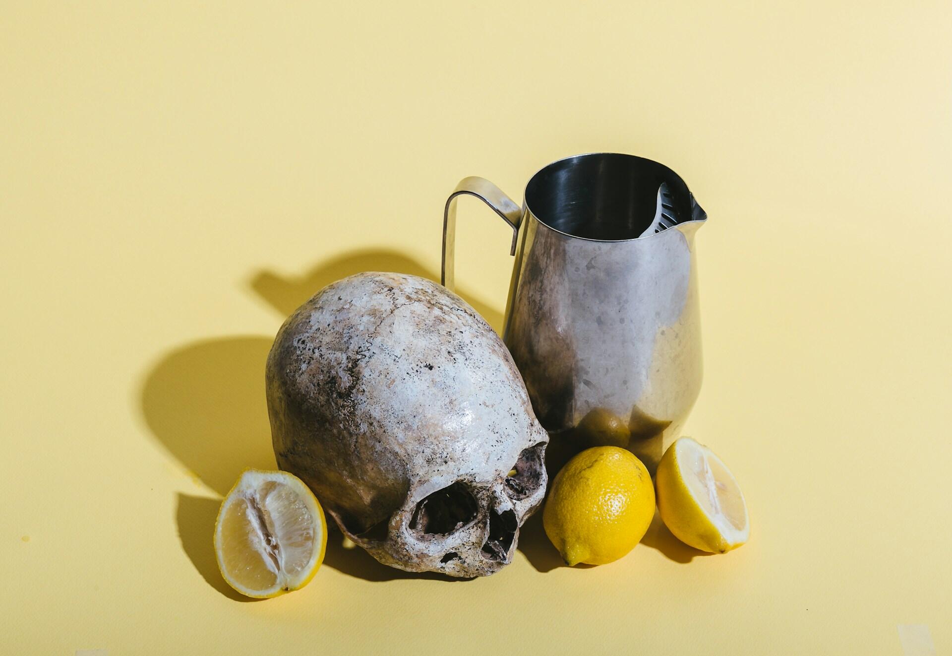vanitas csendélet