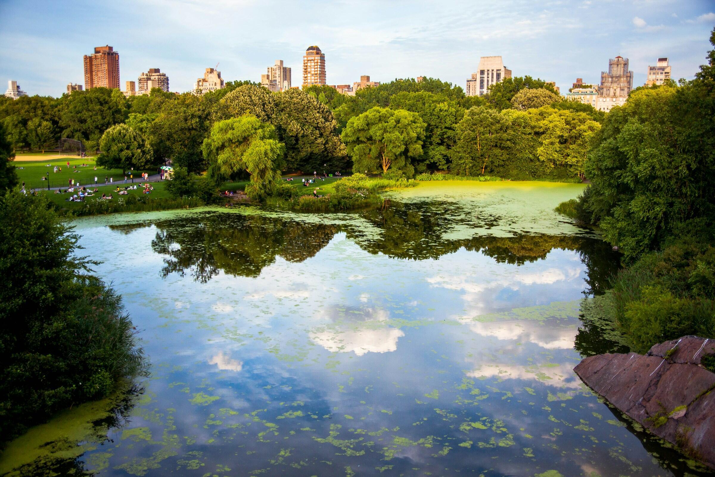 central park new yorkban