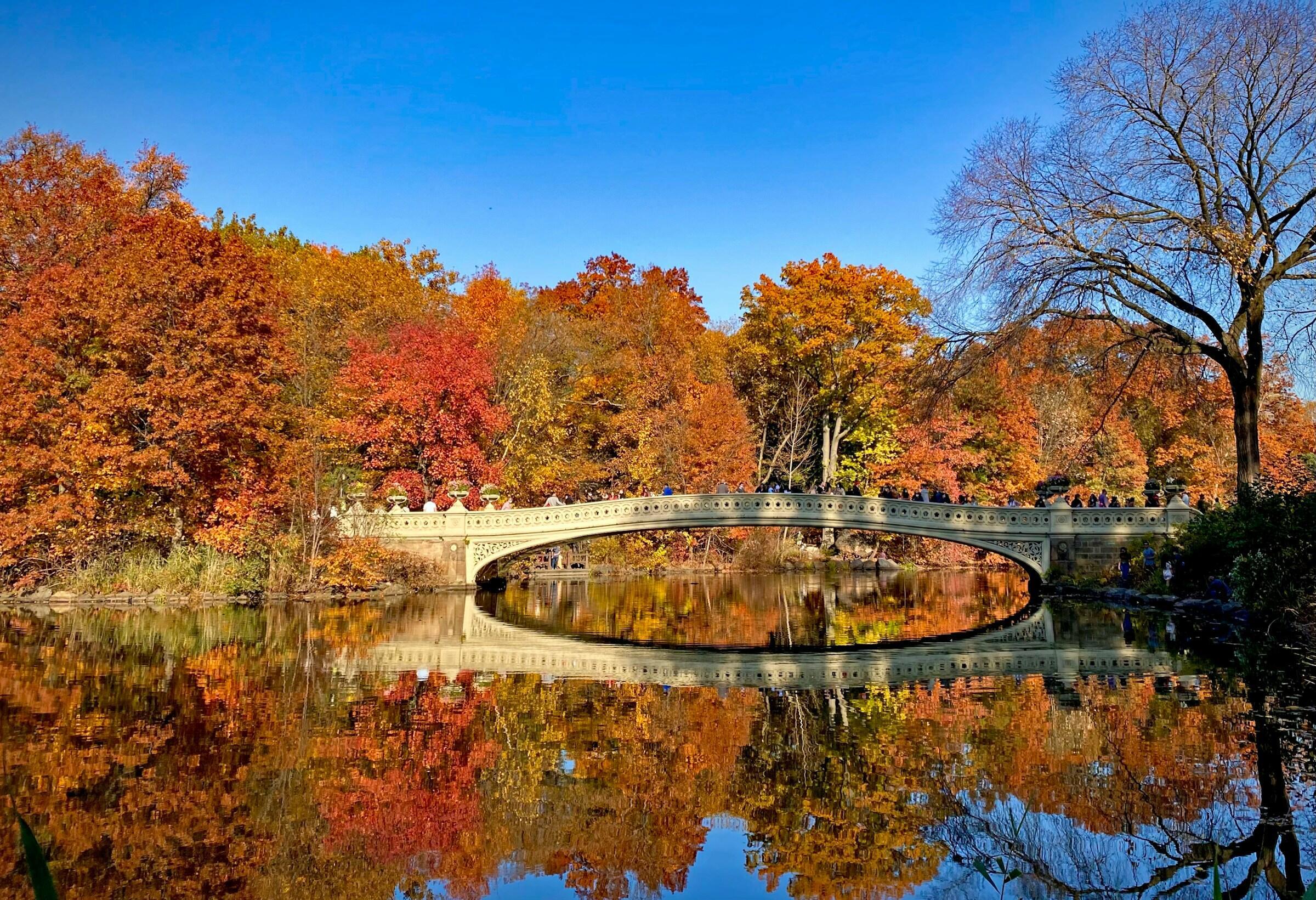 central park őszi színekben 