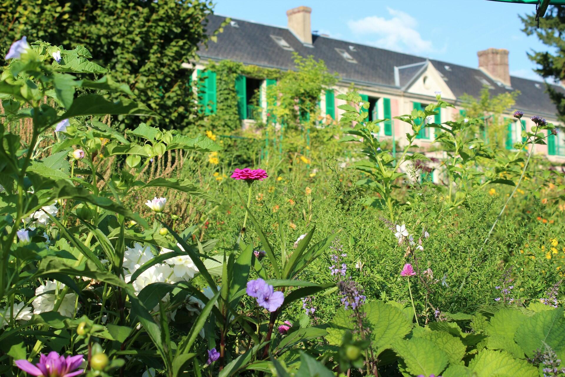 monet kertje givernyben