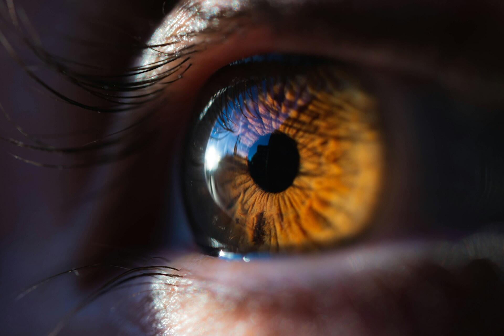 biometria íriszfelismerés