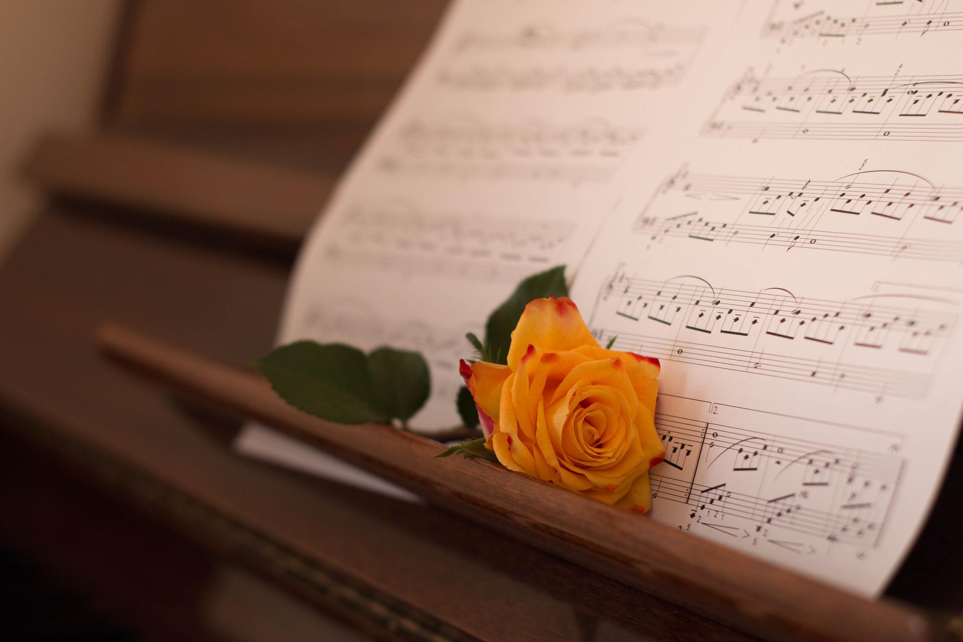 Piano terbaru