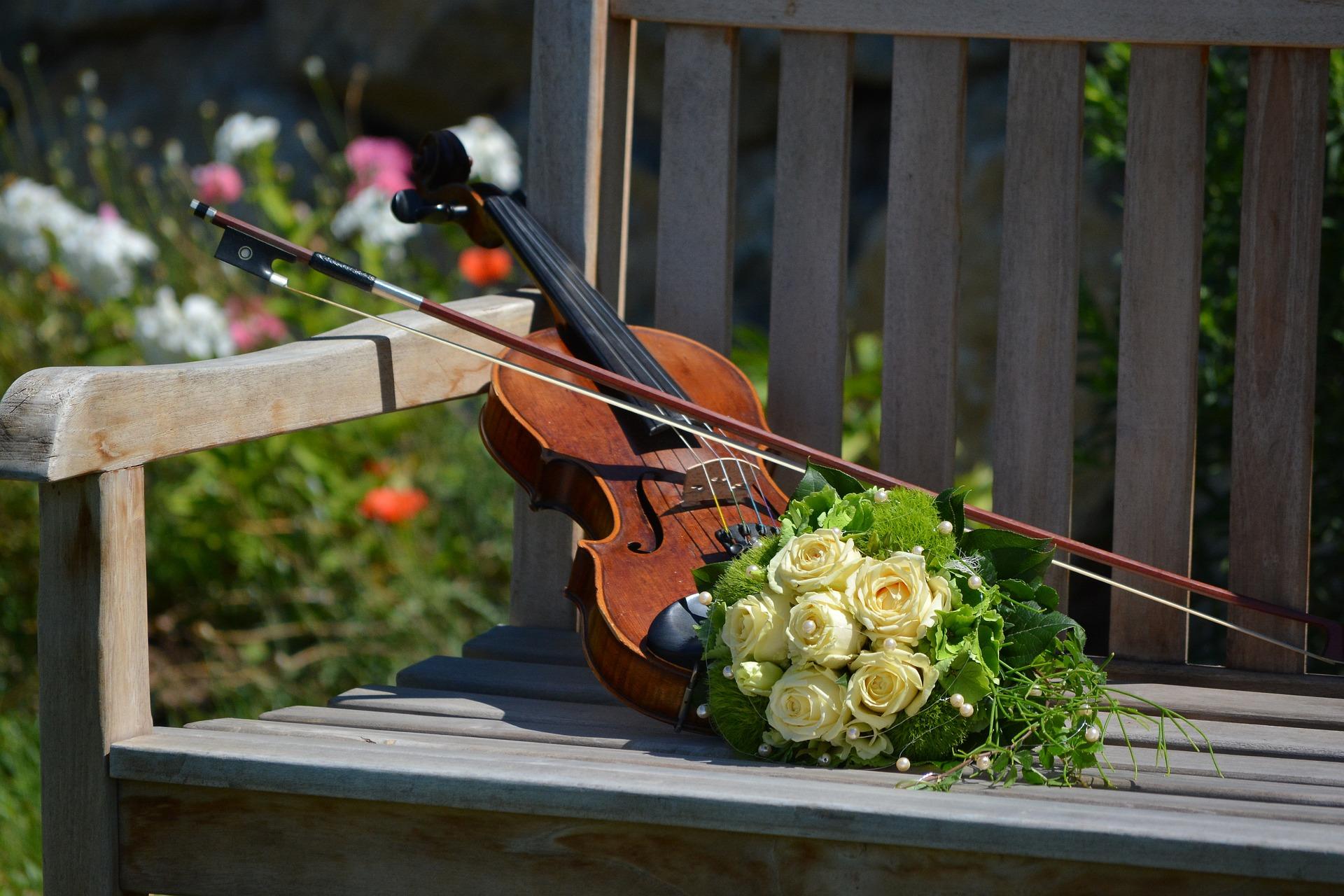 penggunaan violin di semua negara di bumi