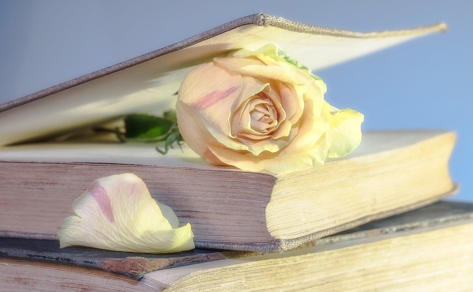 Sejarawan muda wajib membaca the Diart of Anne Frank