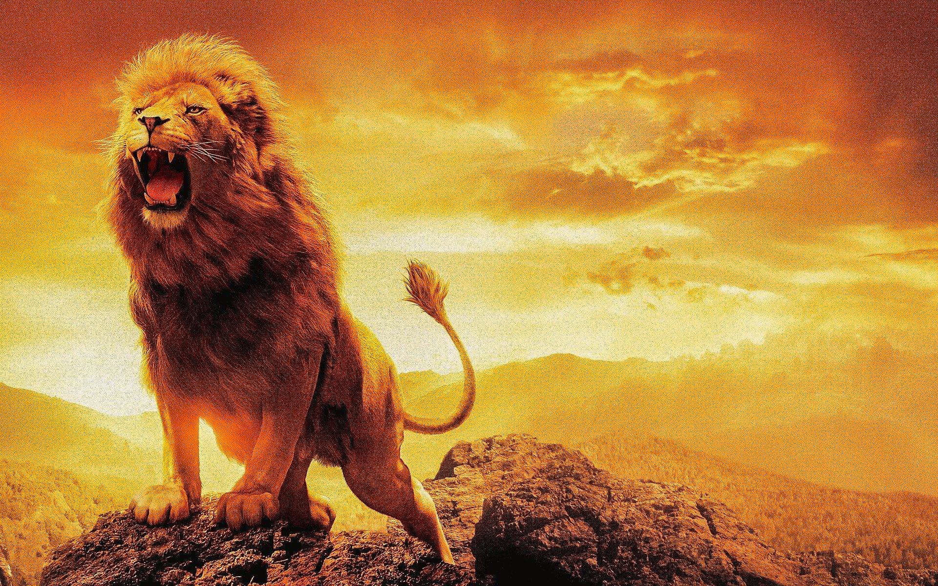 bagaimana jadinya jika lion king tanpa adanya lagu-lagunya