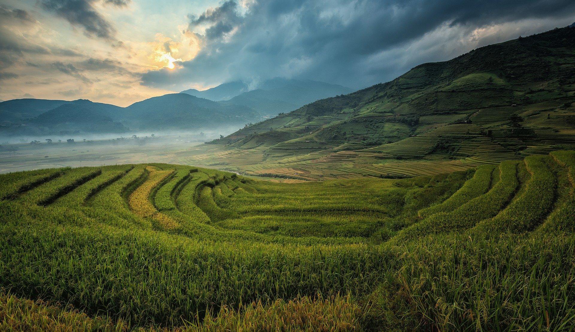 Mengenal berbagai bahasa cina