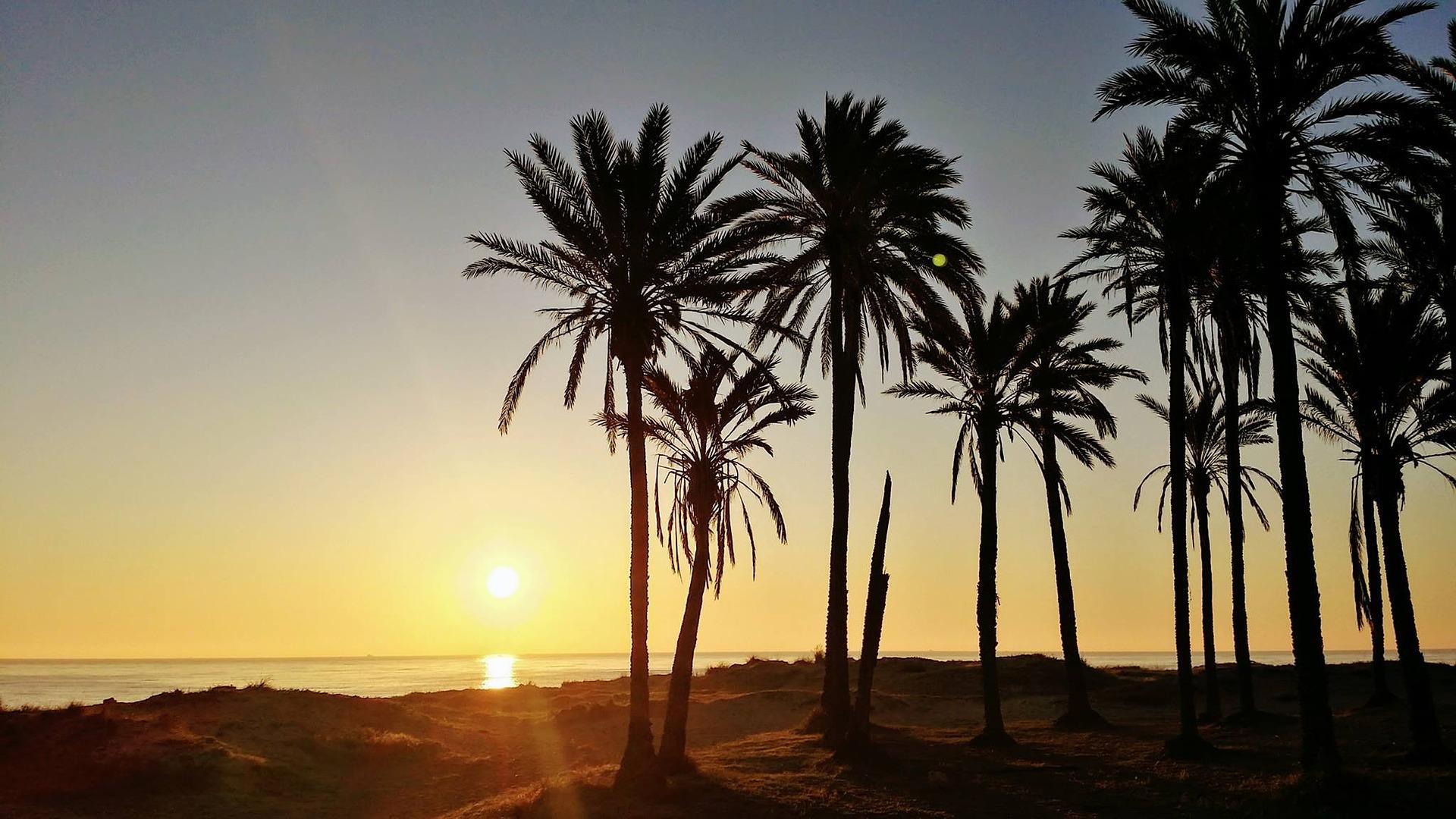 membayangkan di pantai memesan minuman dalam bahasa Spanyol