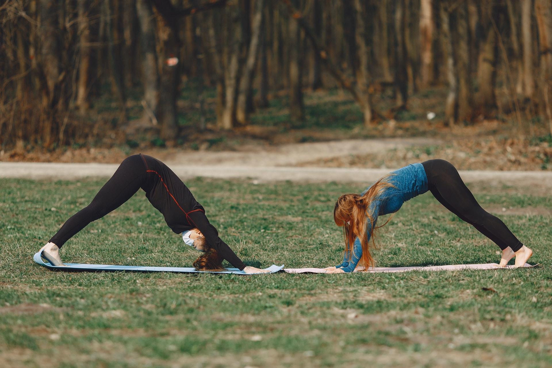Pse dasar downward dog