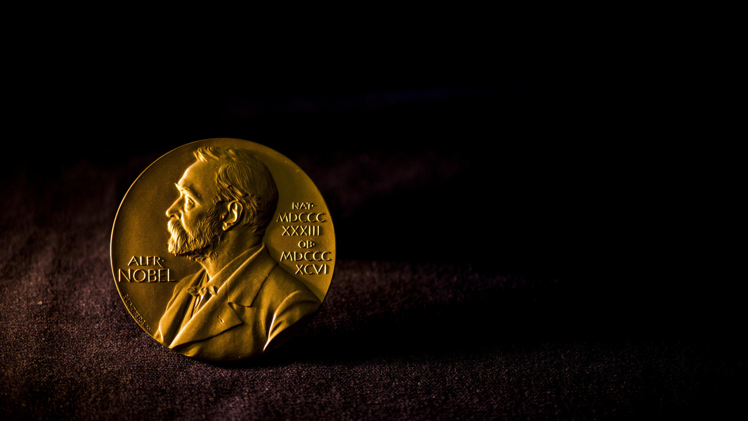 medali emas untuk pemenang nobel ekonomi