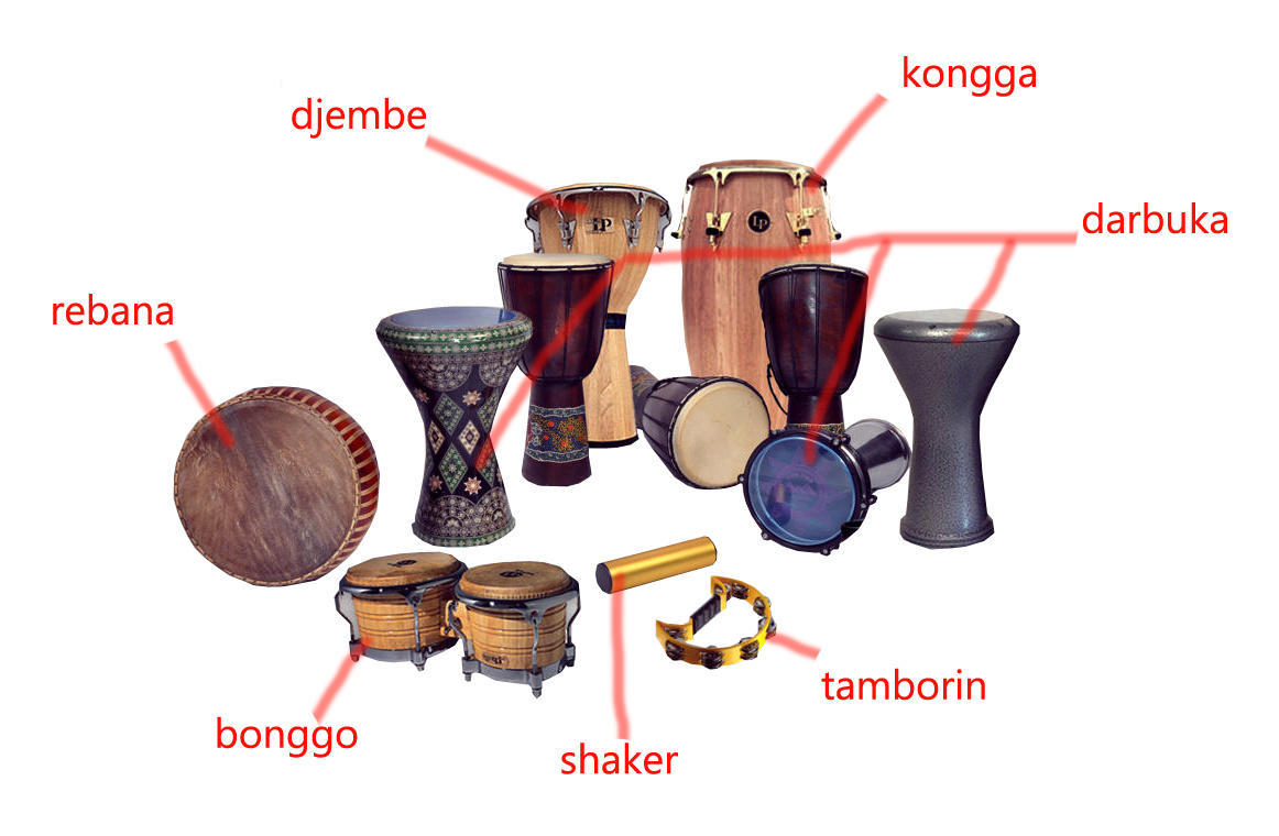 perbedaan mendasar antara drum dan perkusi