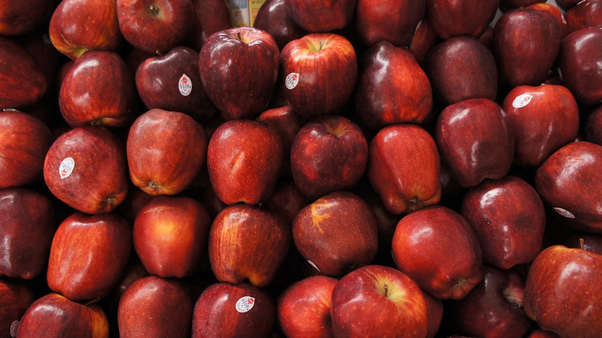 mengunggah foto yang bagus ke sosial media