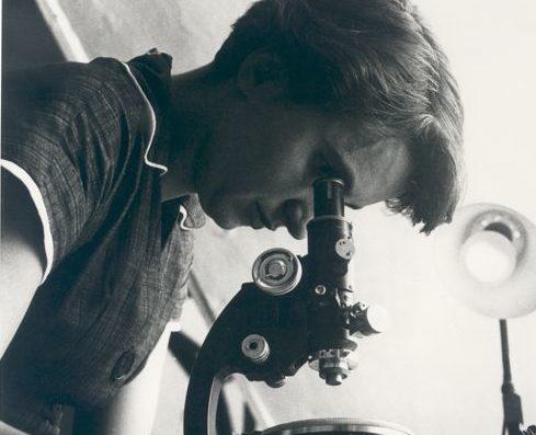 Ruang Kerja Rosalind Franklin