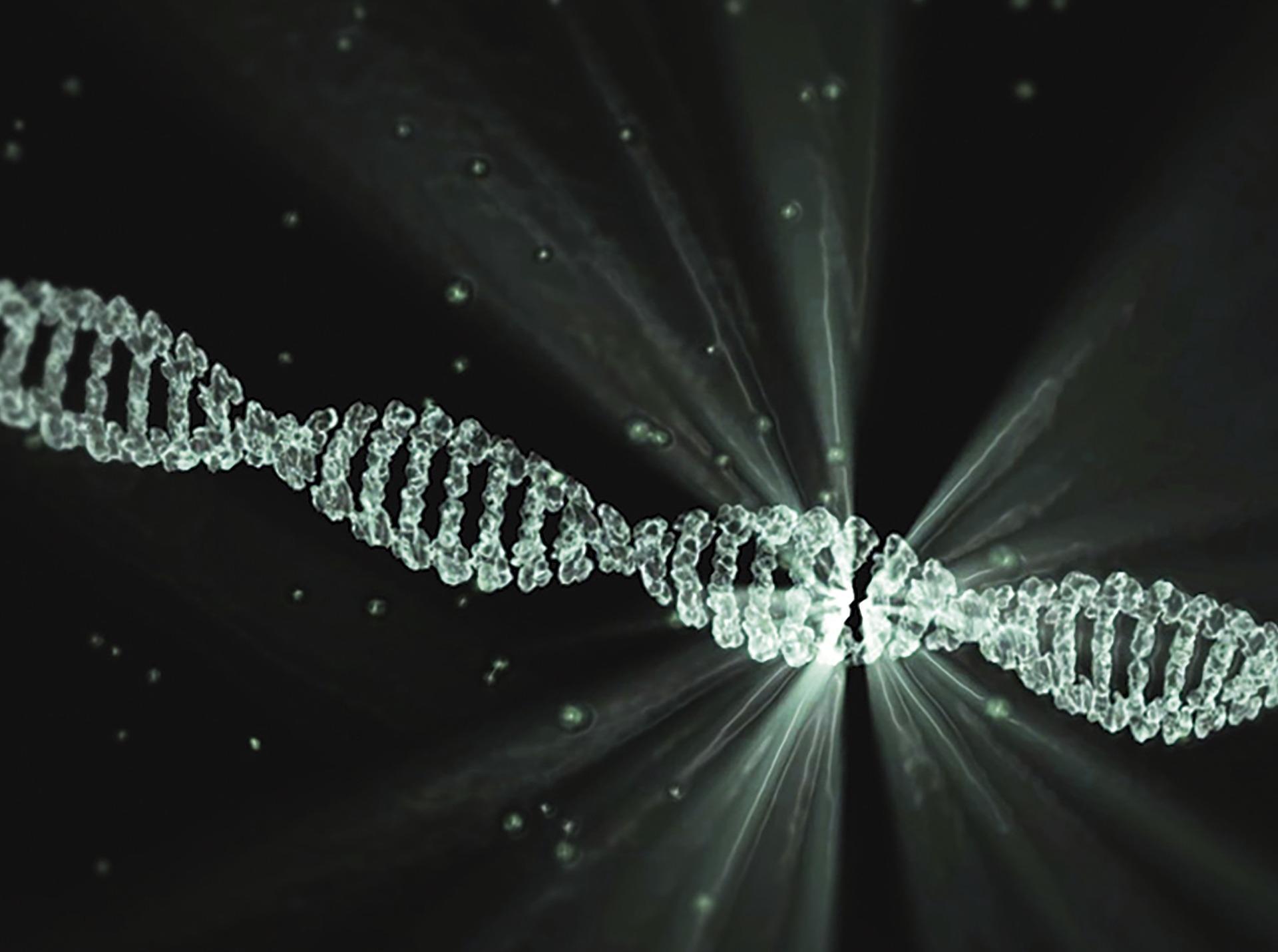 Penemuan DNA Rosalind Franklin