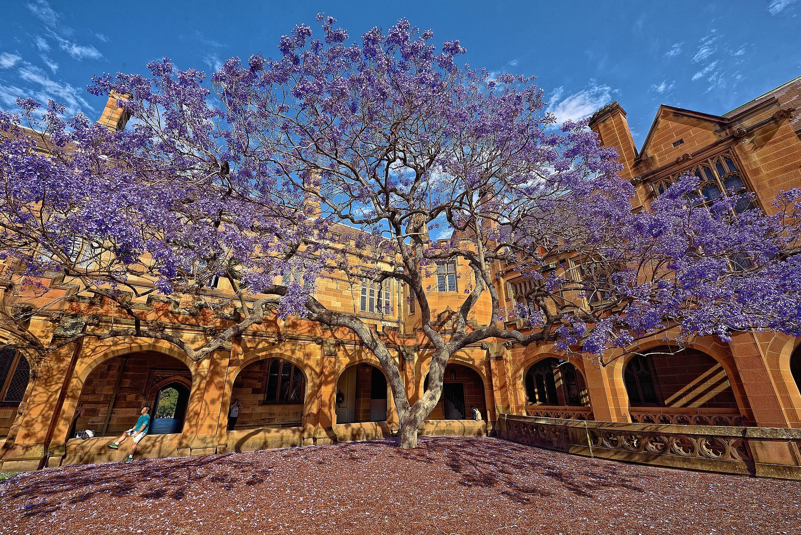 itb menyediakan jurusan komputer terbaik