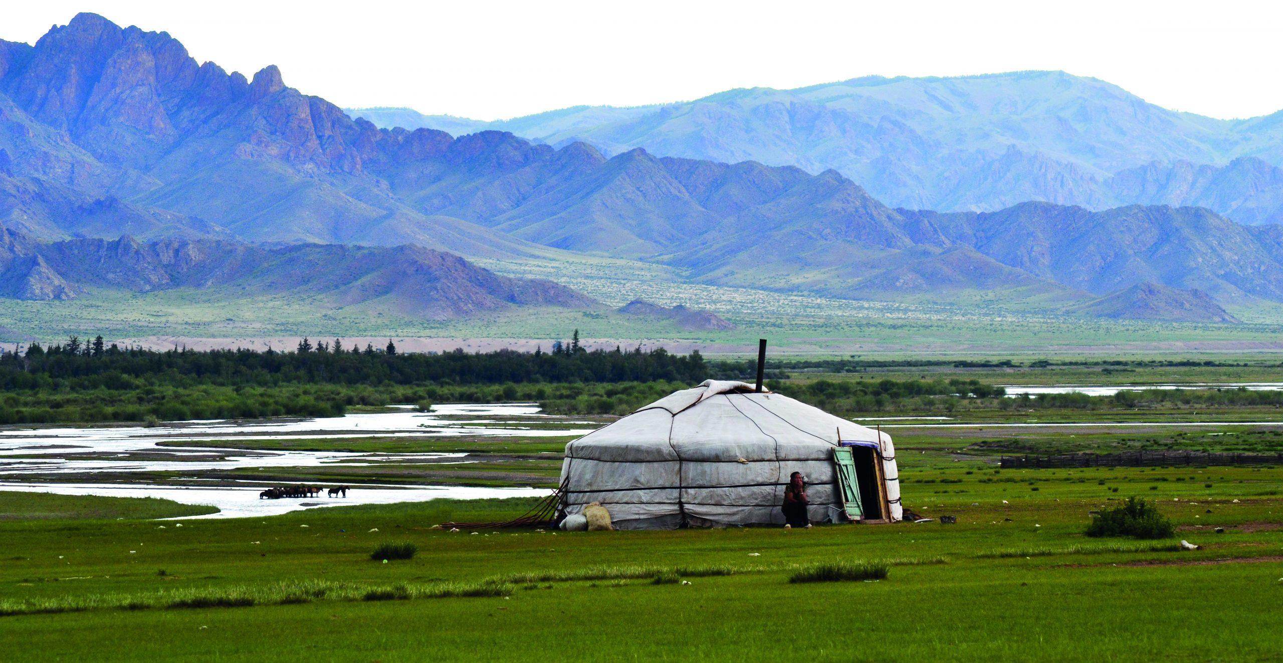 stepa mongolia