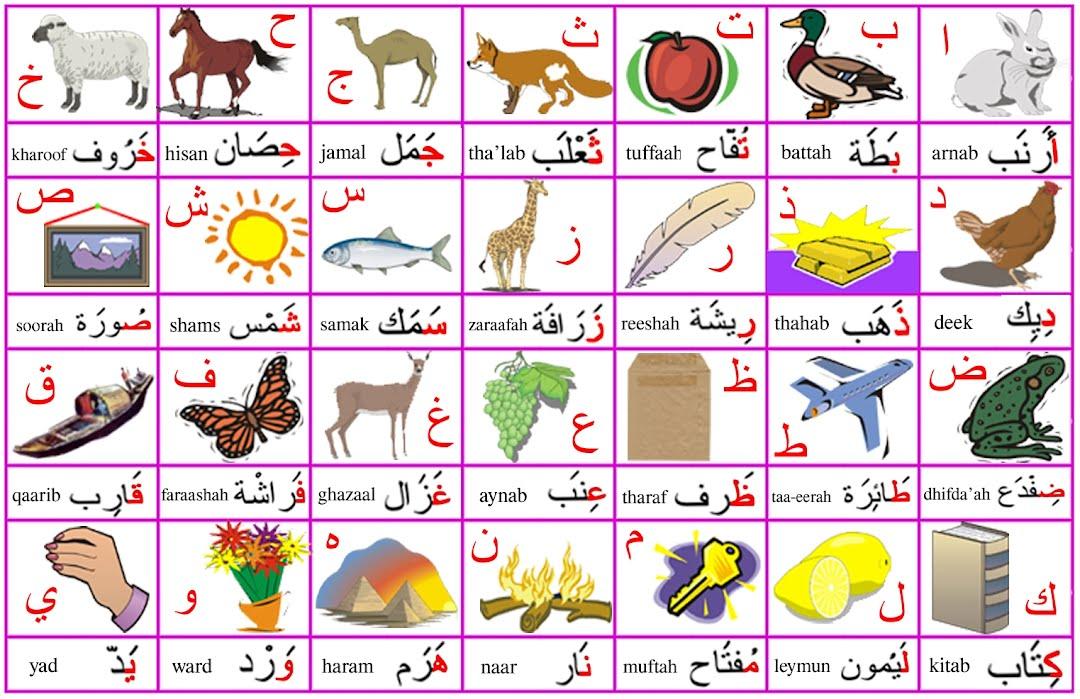 mewarnai huruf arab